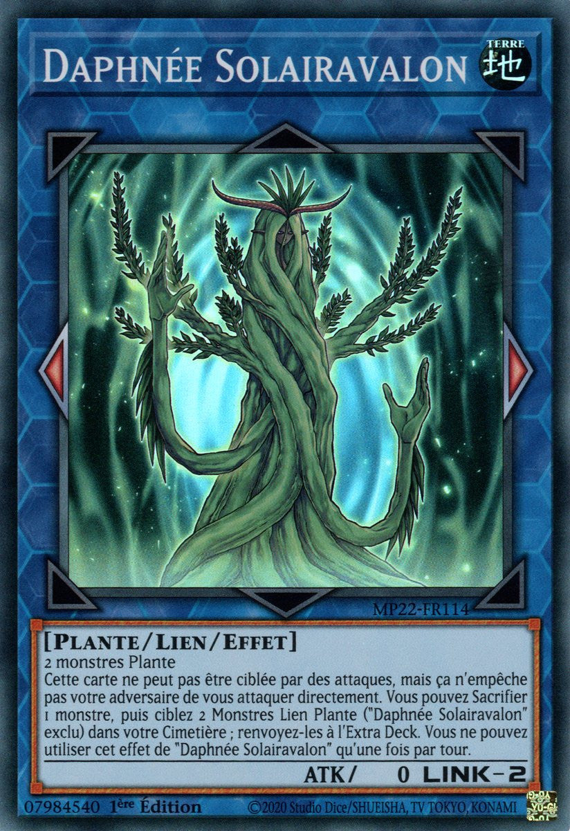 Daphnée Solairavalon - MP22-FR114
