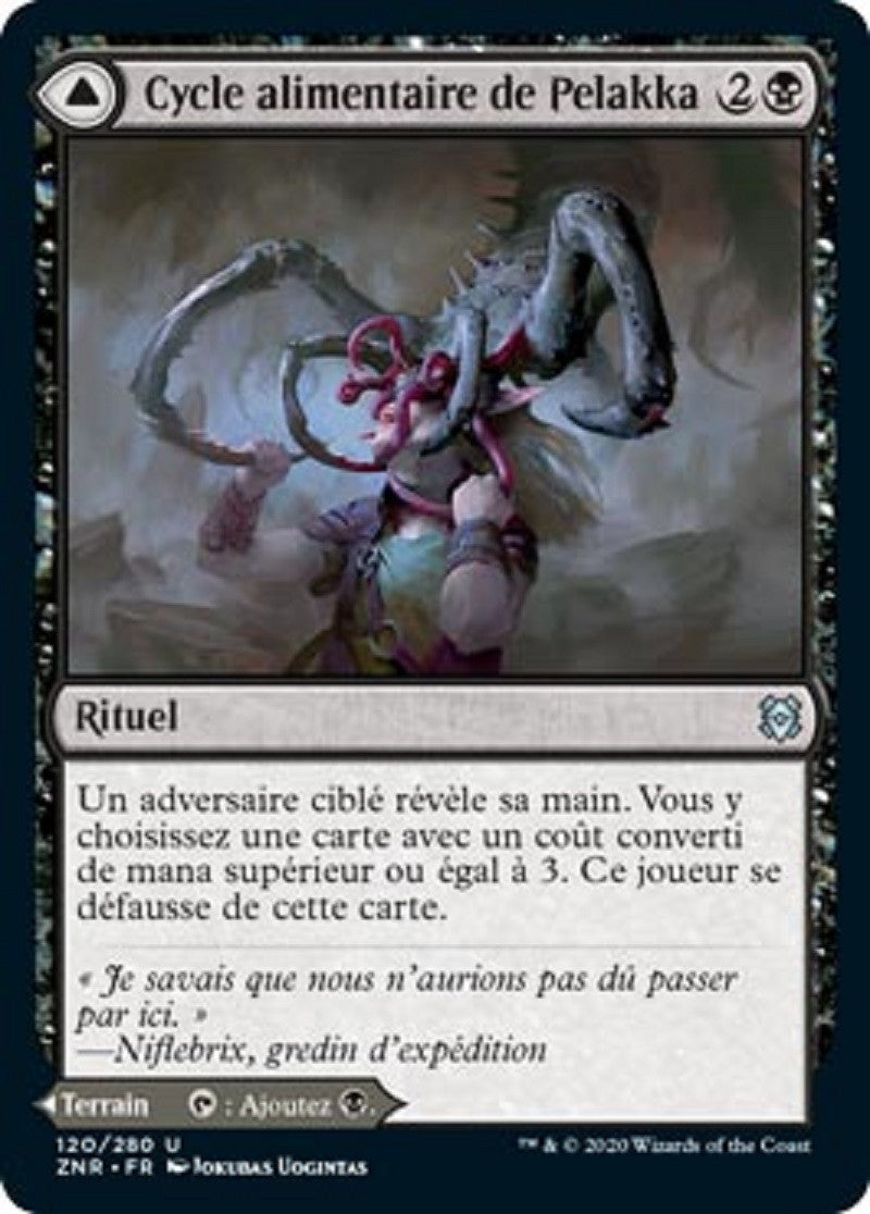 image ZNR_119/280 Cycle alimentaire de Pelakka // Cavernes de Pelakka