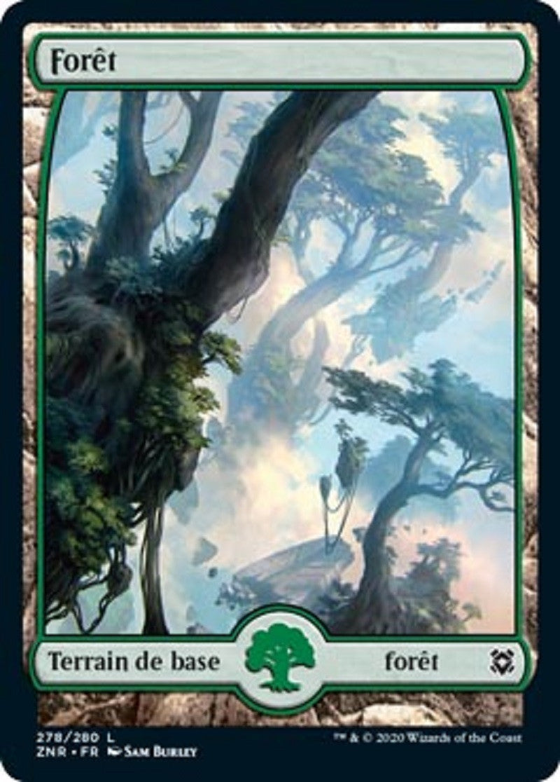 image ZNR_278/280 Forêt