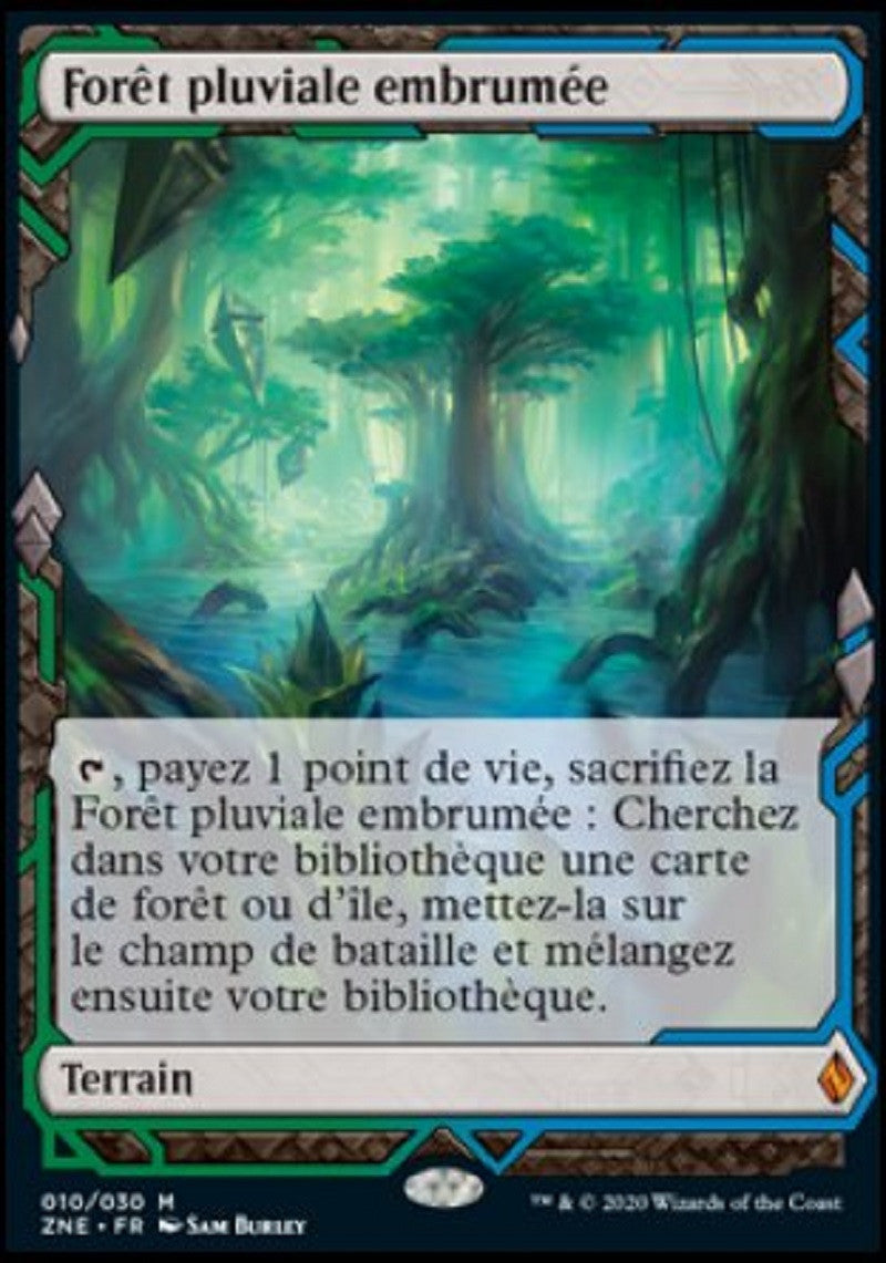 image ZNE_010/030 Forêt pluviale embrumée (Expedition)