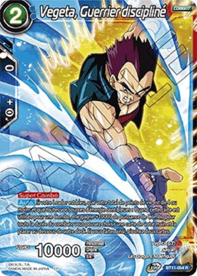 image BT11-054 Vegeta, Guerrier discipliné