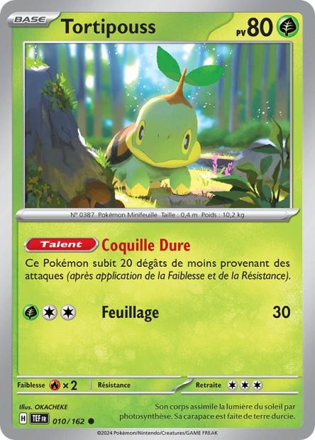 Tortipouss - 010/162