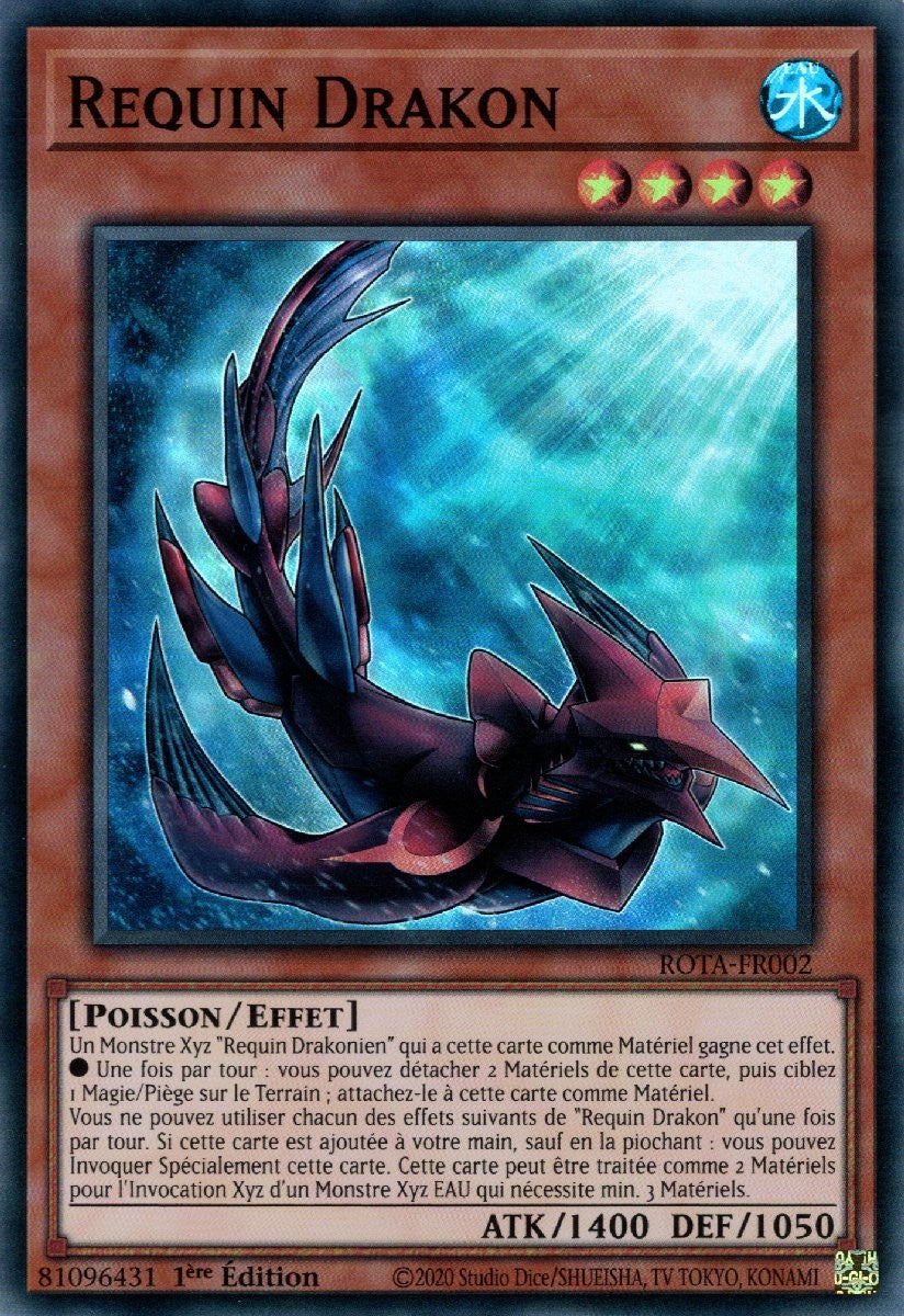 Requin Drakon - ROTA-FR002