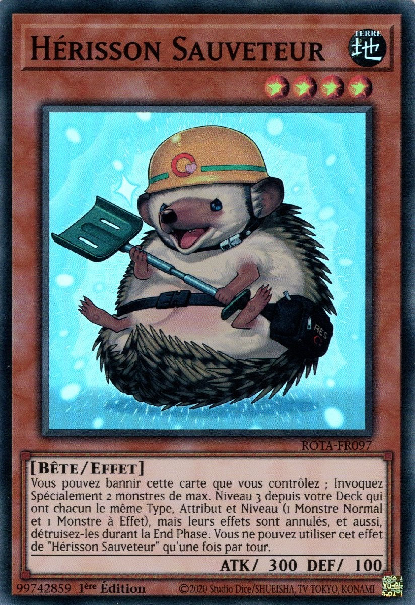 Hérisson Sauveteur - ROTA-FR097