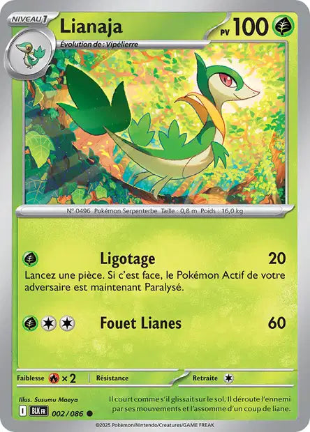 Lianaja (BLK 002) - Foudre Noire - Carte Pokémon EV10.5