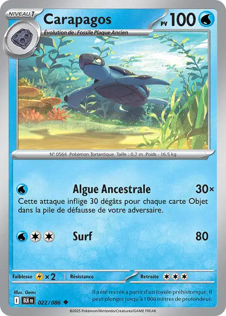 Carapagos (BLK 022) - Foudre Noire - Carte Pokémon EV10.5
