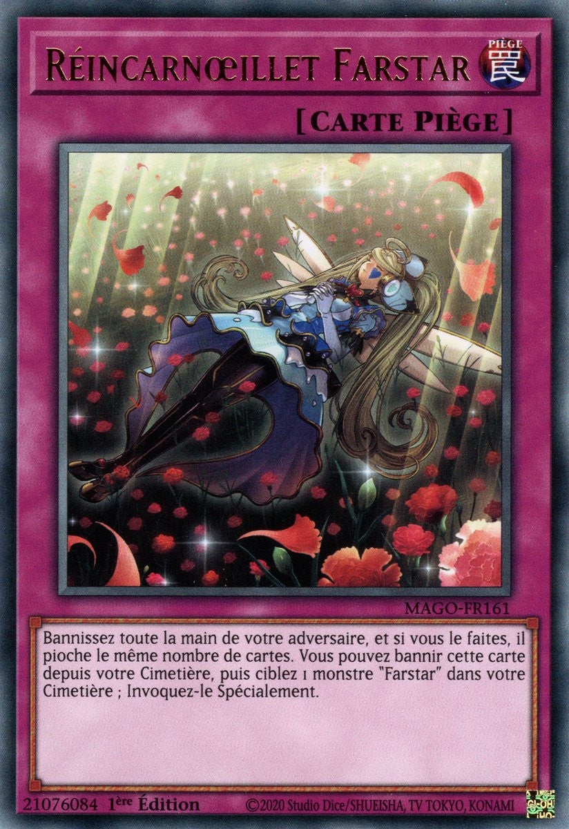 MAGO-FR161 Réincarnœillet Farstar
