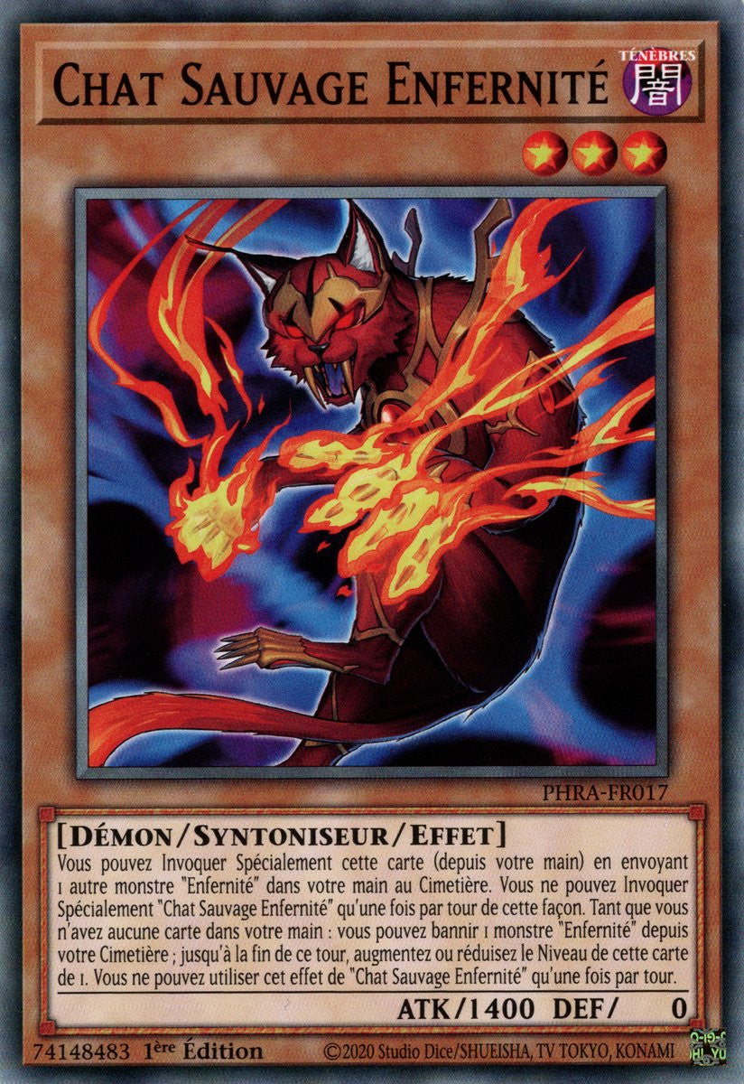 PHRA-FR017 Chat Sauvage Enfernité