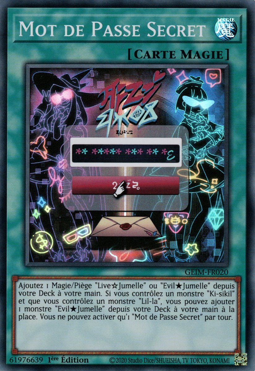 GEIM-FR020 Mot de Passe Secret