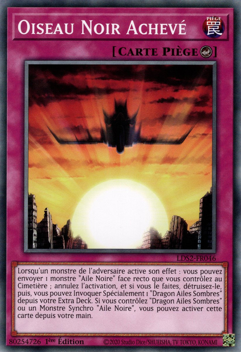 Oiseau Noir Achevé : LDS2-FR046 C