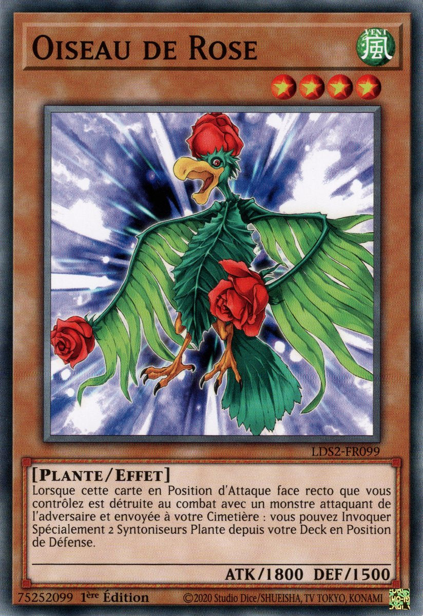 Oiseau de Rose : LDS2-FR099 C