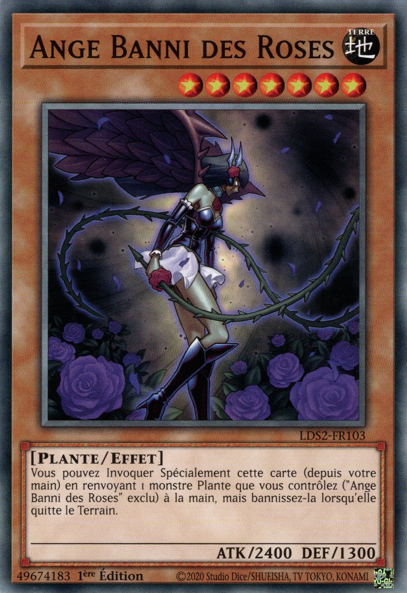 Ange Banni des Roses : LDS2-FR103 C
