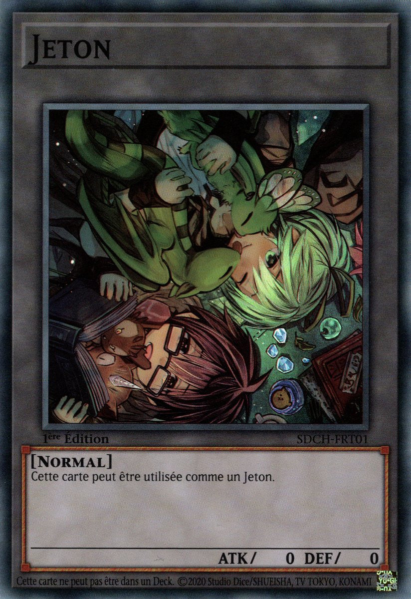 Jeton (V.1) - SDCH-FRT01 SR