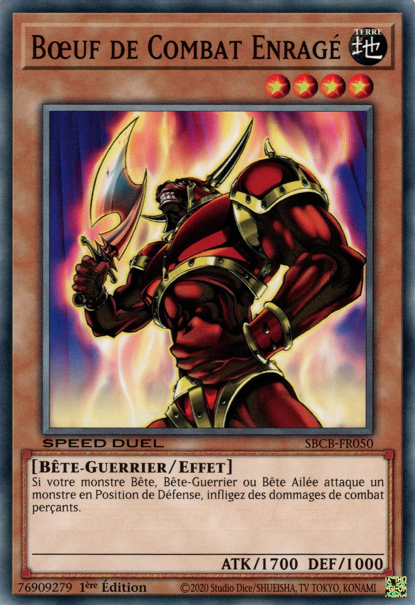 Bœuf de Combat Enragé : SBCB-FR050 C
