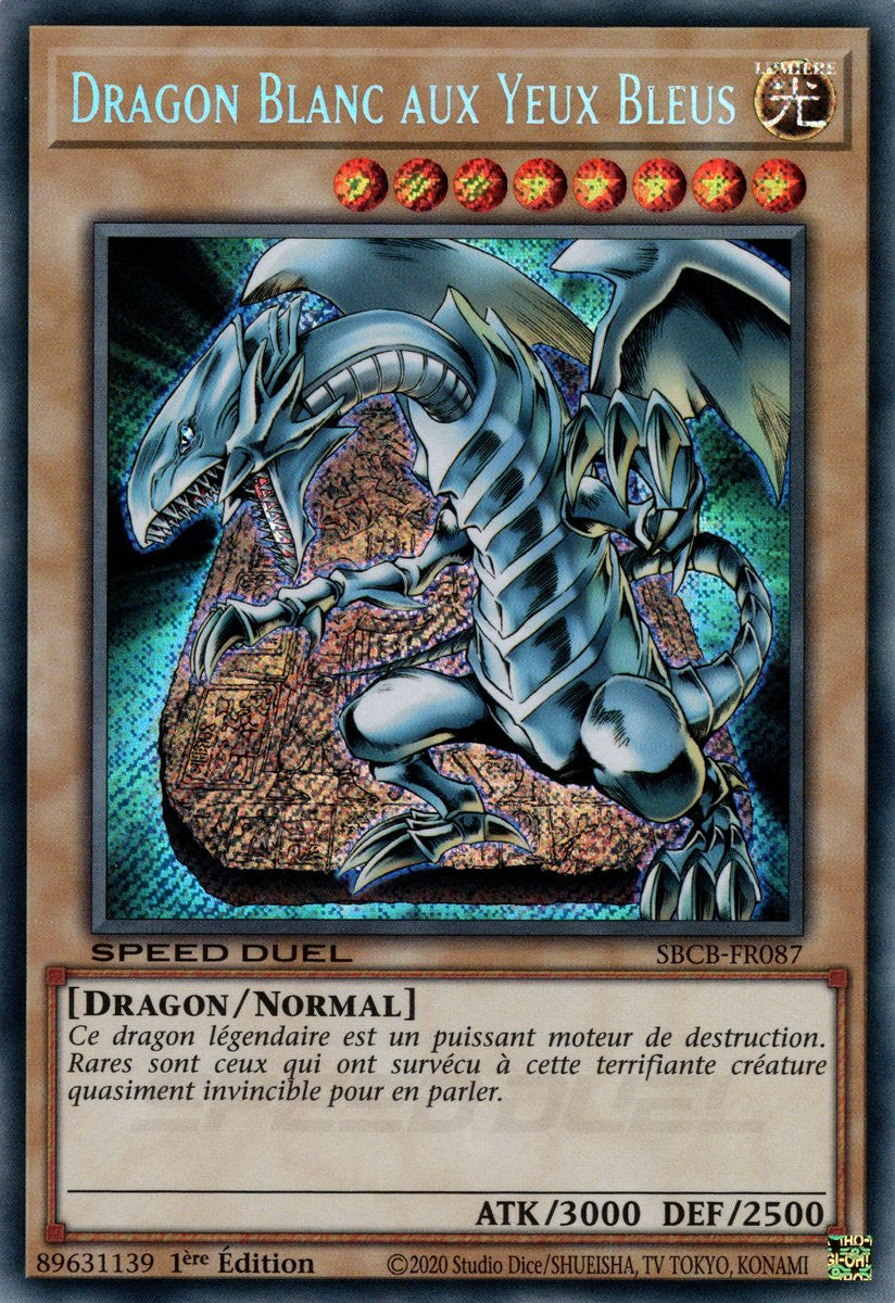 Dragon Blanc aux Yeux Bleus : SBCB-FR087 SE (V.2)