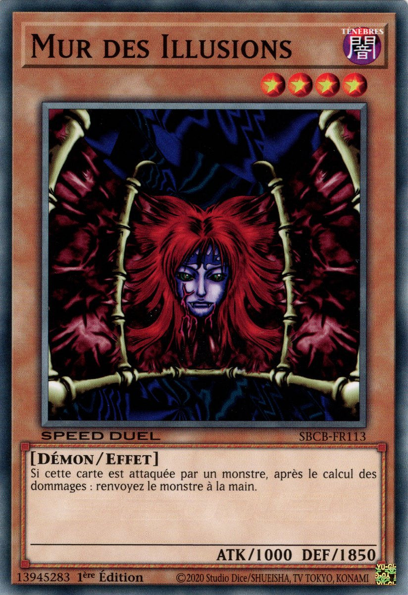 Mur des Illusions : SBCB-FR113 C