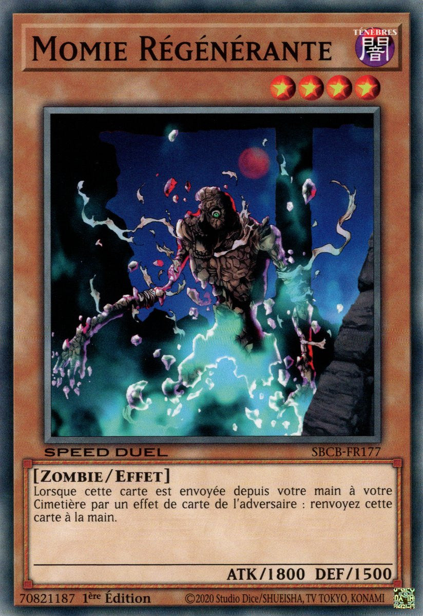 Momie Régénérante : SBCB-FR177 C
