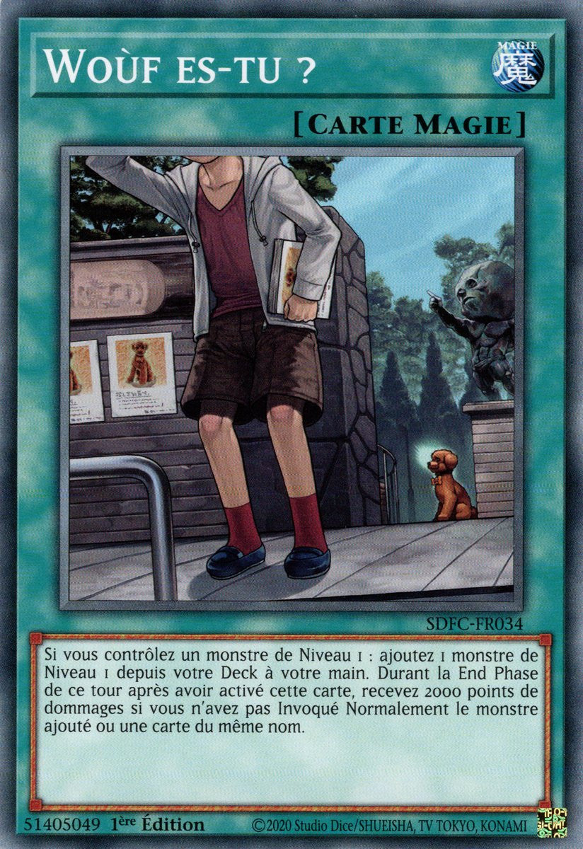 Woùf es-tu ? : SDFC-FR034 C
