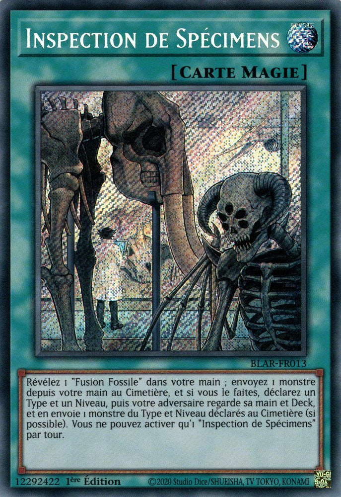 Inspection de Spécimens : BLAR-FR013 SE