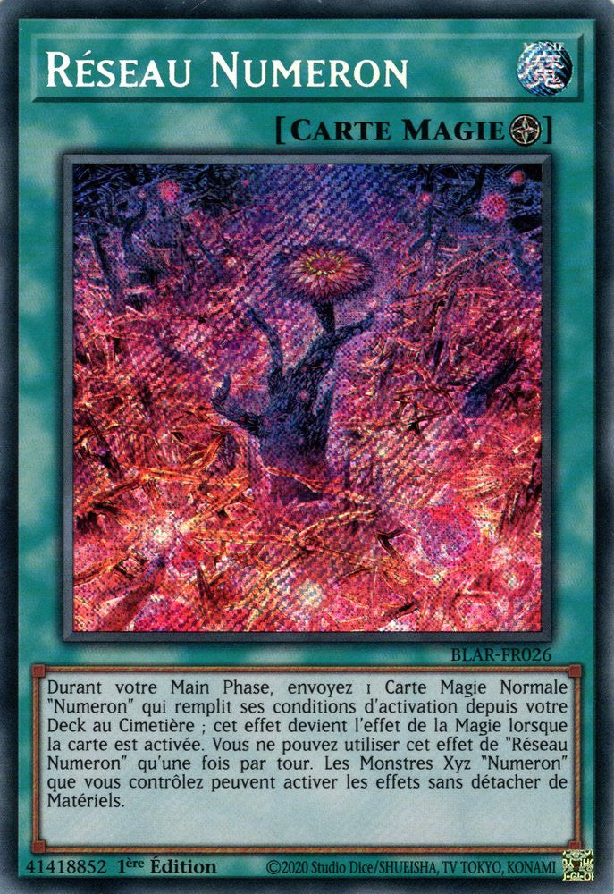 Réseau Numeron : BLAR-FR026 SE