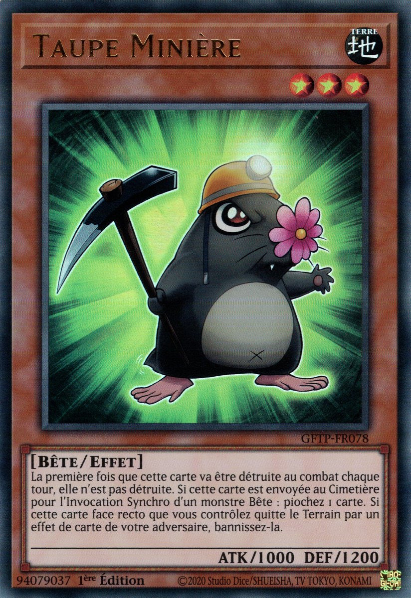 Taupe Minière : GFTP-FR078 UR