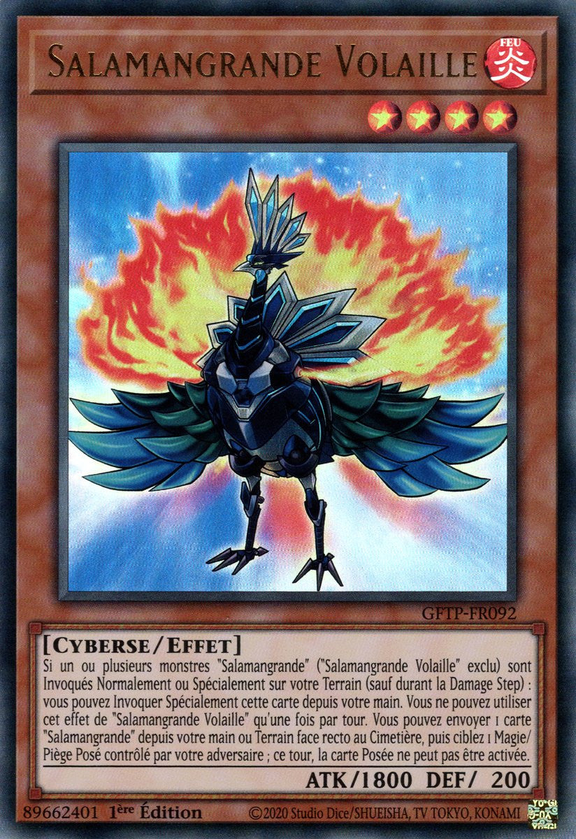 Salamangrande Volaille : GFTP-FR092 UR