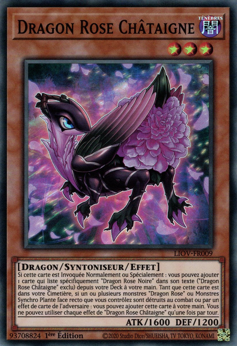 Dragon Rose Châtaigne : LIOV-FR009 SR