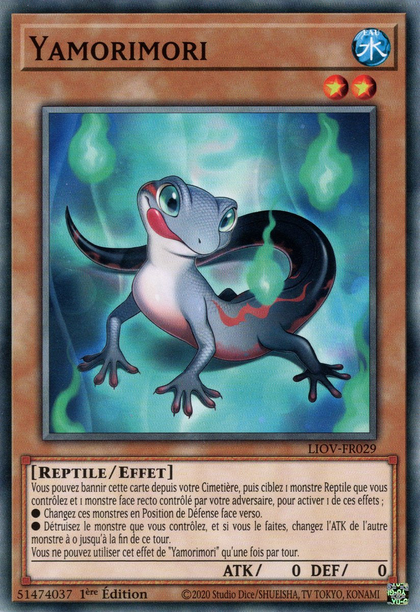 Yamorimori : LIOV-FR029 C