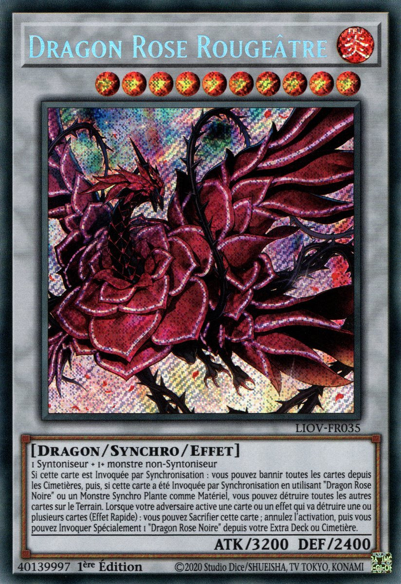 Dragon Rose Rougeâtre : LIOV-FR035 SE
