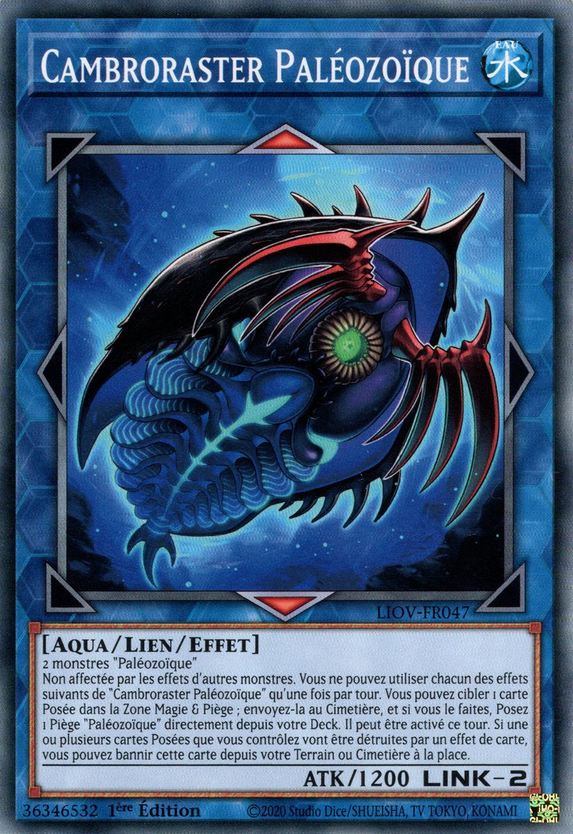 Cambroraster Paléozoïque : LIOV-FR047 C