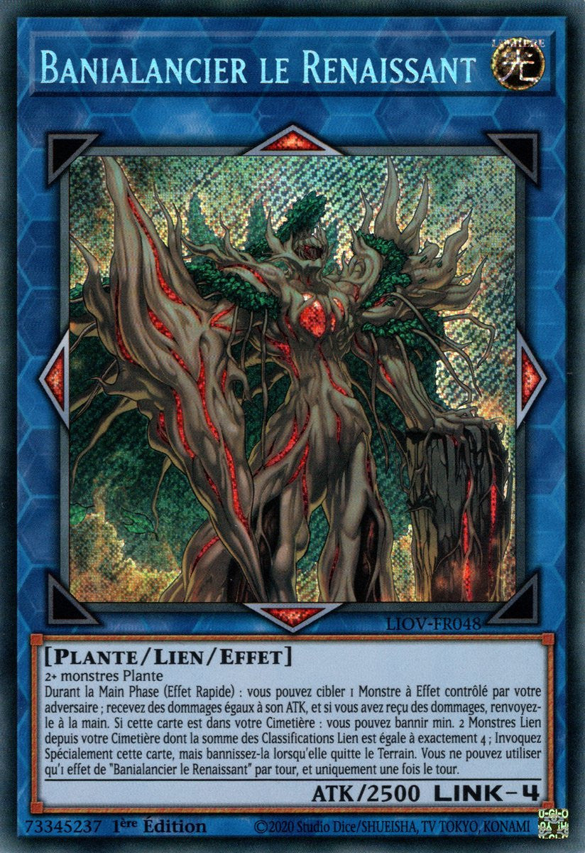 Banialancier le Renaissant : LIOV-FR048 SE