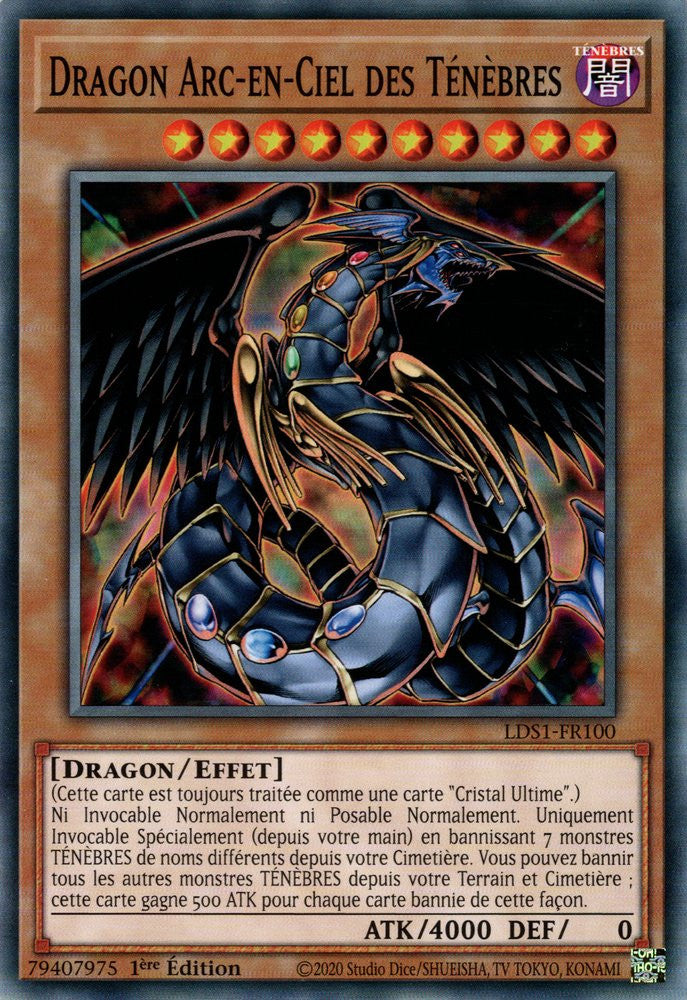Dragon Arc-en-Ciel des Ténèbres : LDS1-FR100 C