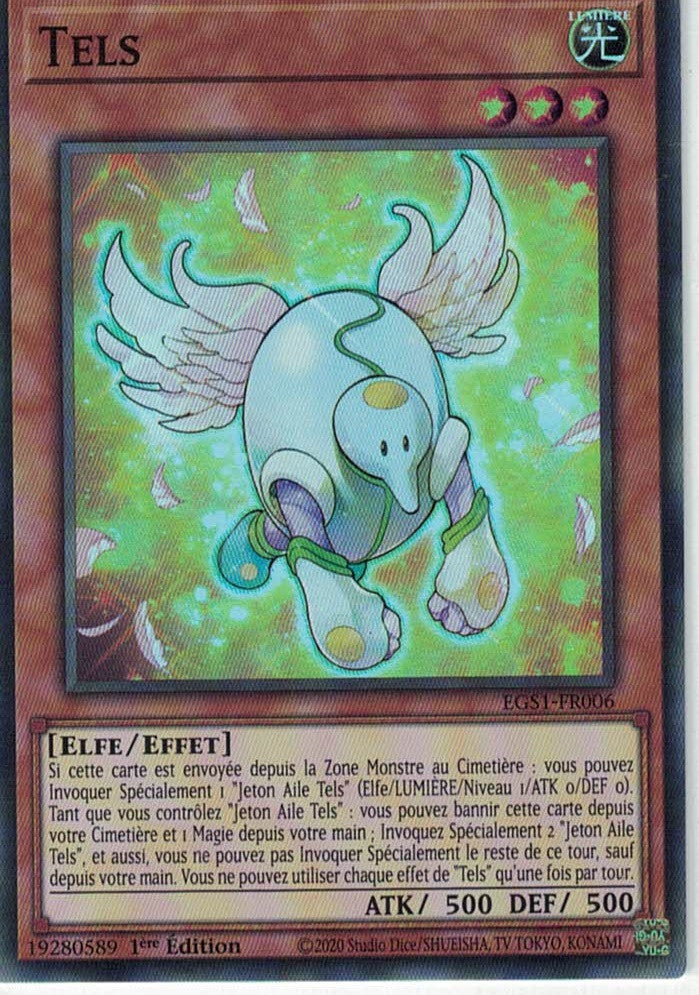 Tels : EGS1-FR006 SR