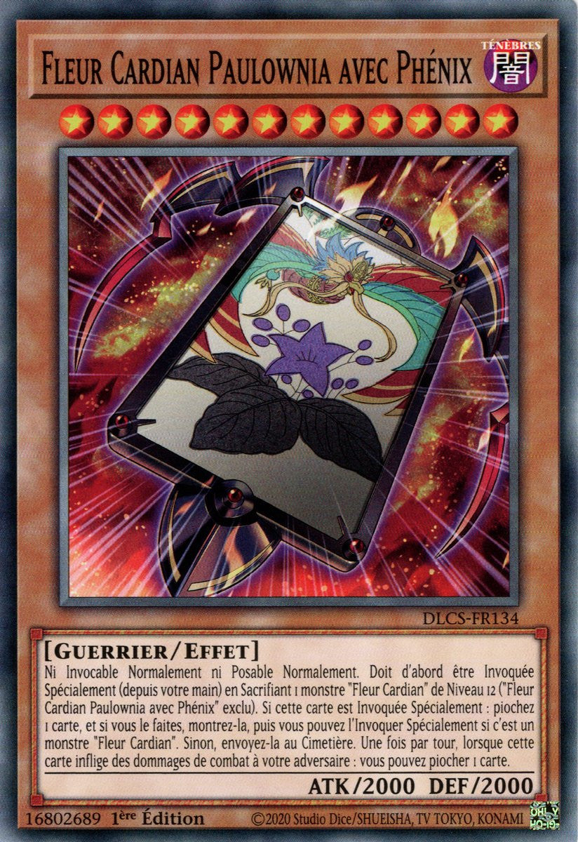 DLCS-FR134 Fleur Cardian Paulownia avec Phénix
