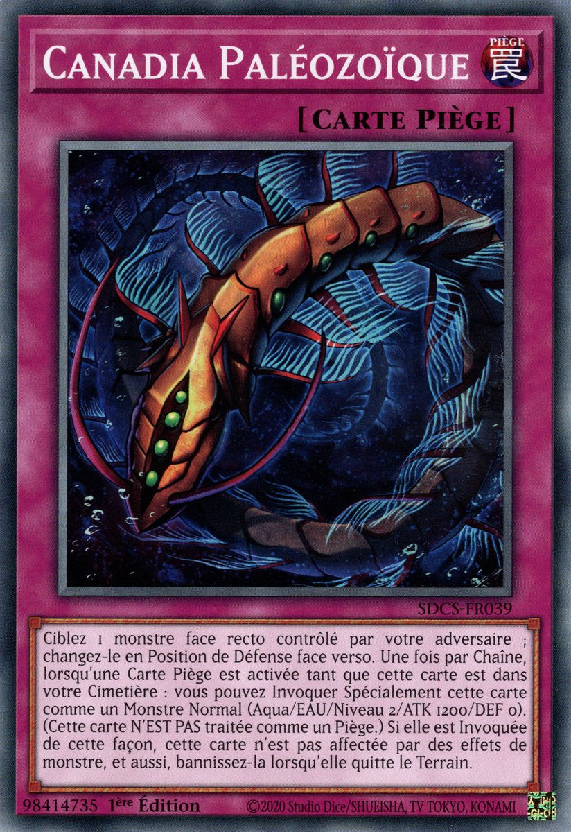 Canadia Paléozoïque : SDCS-FR039 C
