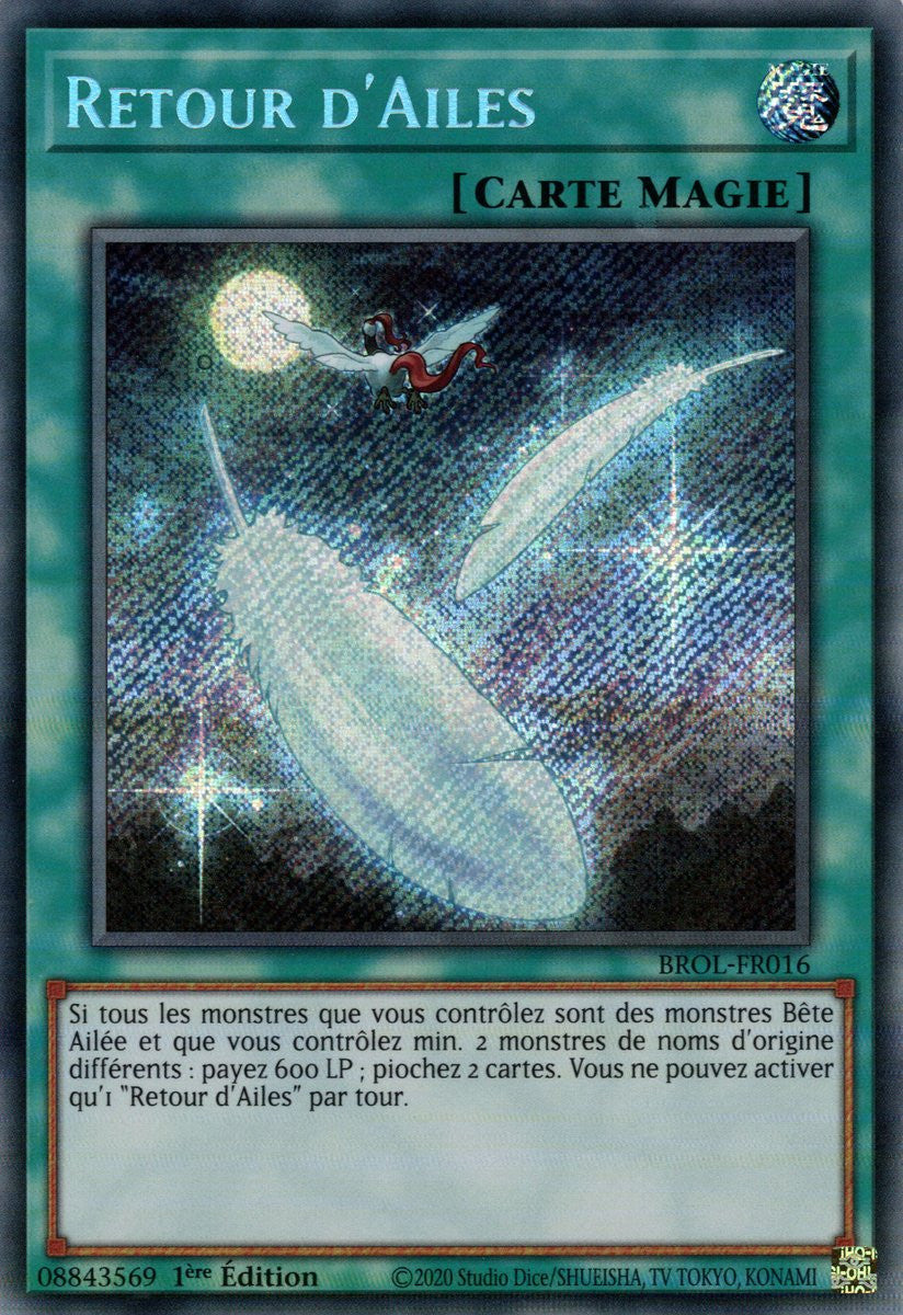 Retour d'Ailes - BROL-FR016