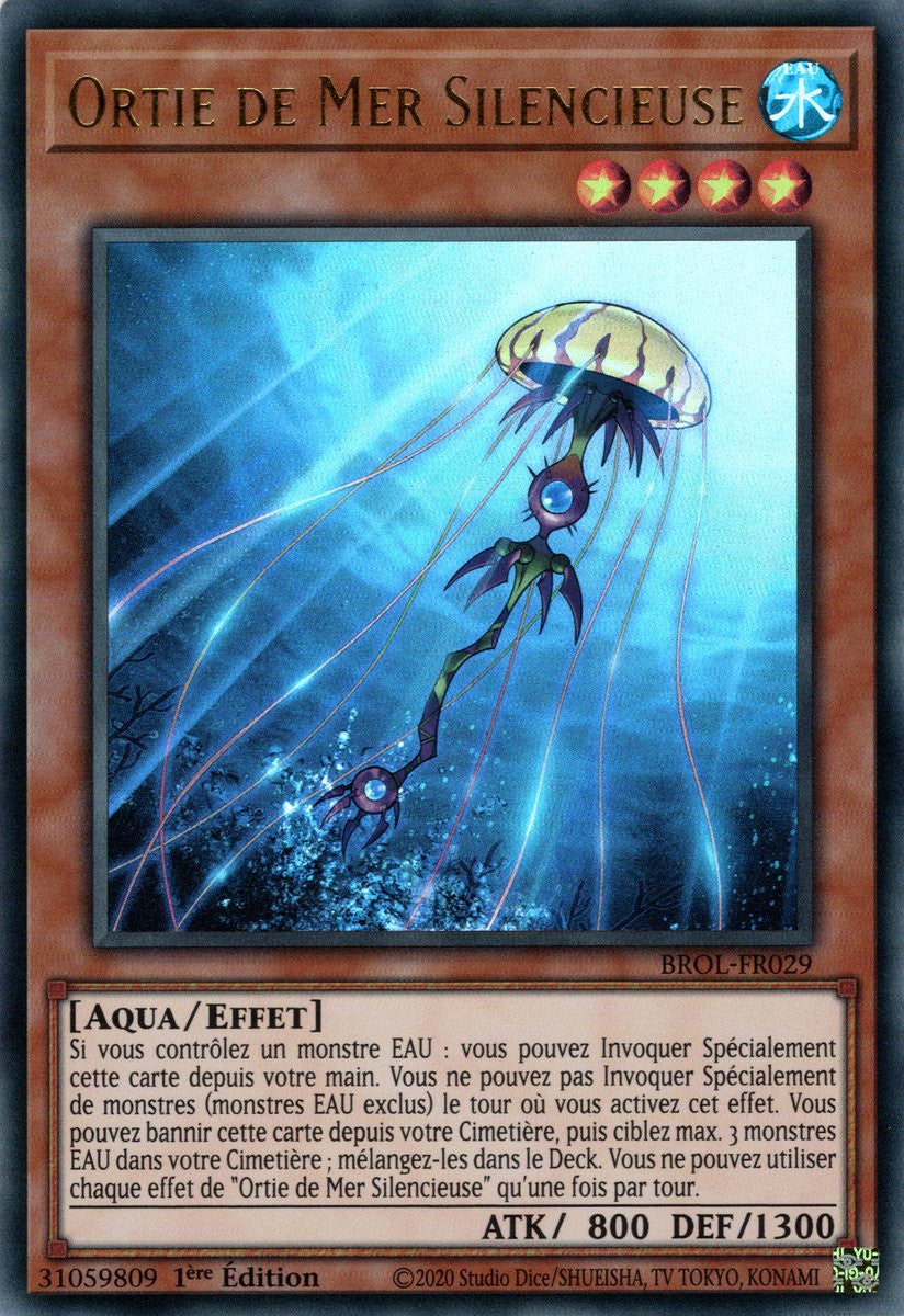 Ortie de Mer Silencieuse - BROL-FR029
