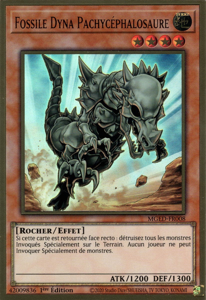 Fossile Dyna Pachycéphalosaure : MGED-FR008 (PGR)