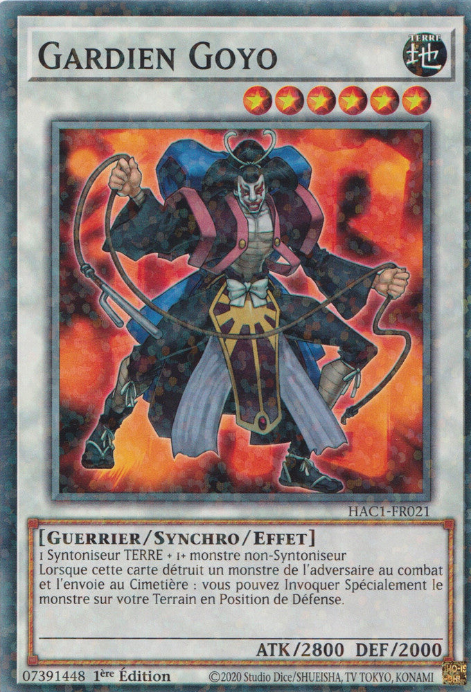 Gardien Goyo : HAC1-FR021 (V.2 - DNPR)