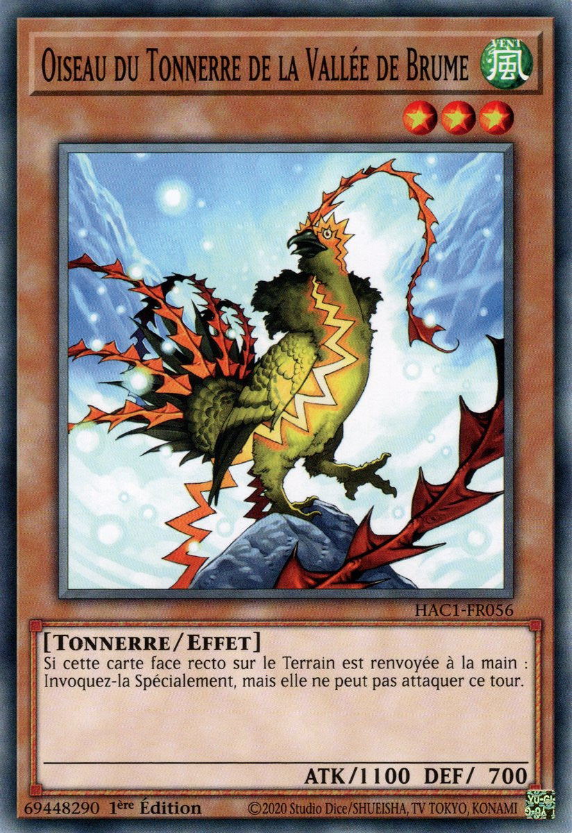 Oiseau du Tonnerre de la Vallée de Brume : HAC1-FR056 (V.1 - C)