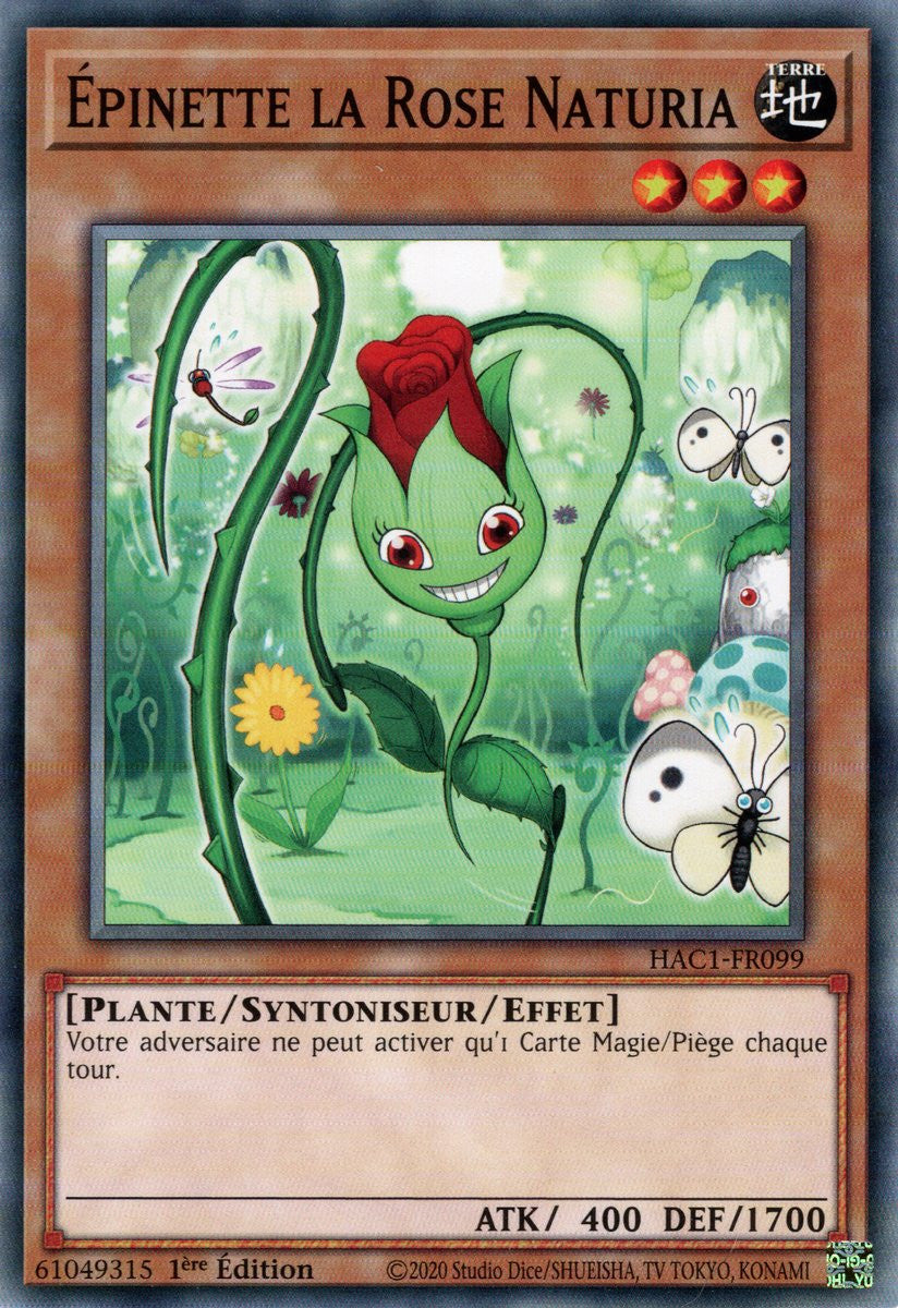 Épinette la Rose Naturia : HAC1-FR099 (V.1 - C)