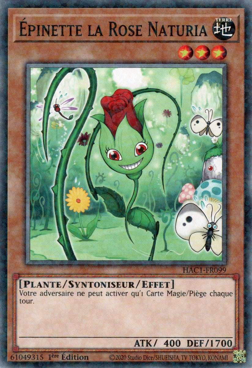 Épinette la Rose Naturia : HAC1-FR099 (V.2 - DNPR)
