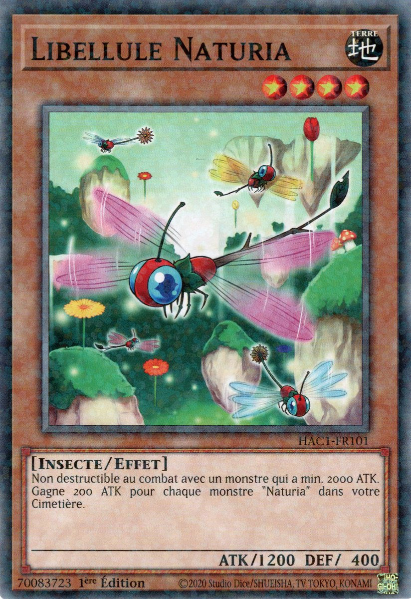 Libellule Naturia : HAC1-FR101 (V.2 - DNPR)