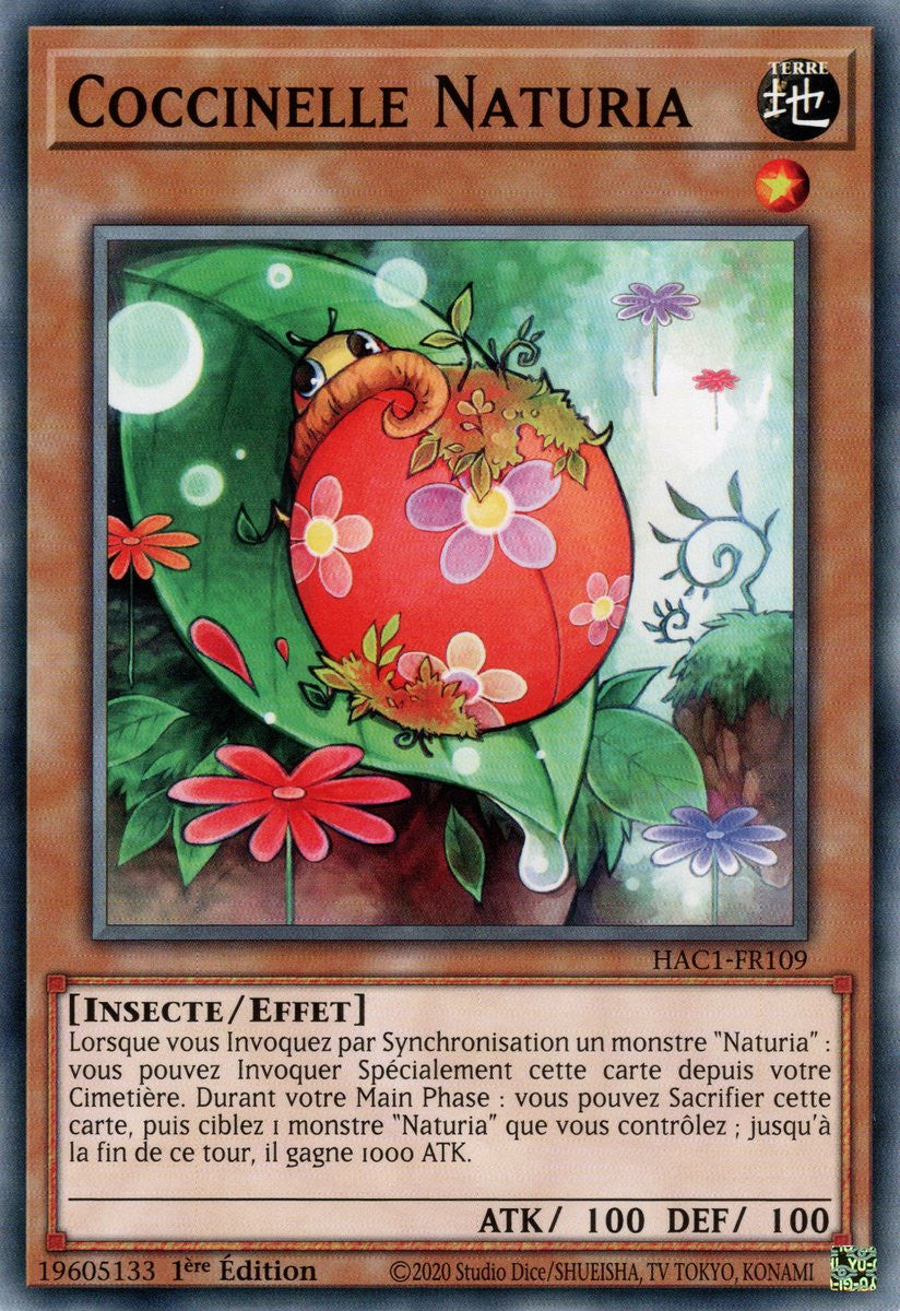 Coccinelle Naturia : HAC1-FR109 (V.1 - C)