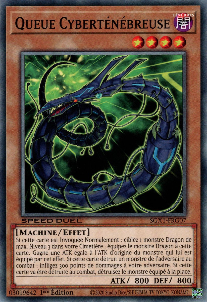 Queue Cyberténébreuse : SGX1-FRG07 (C)