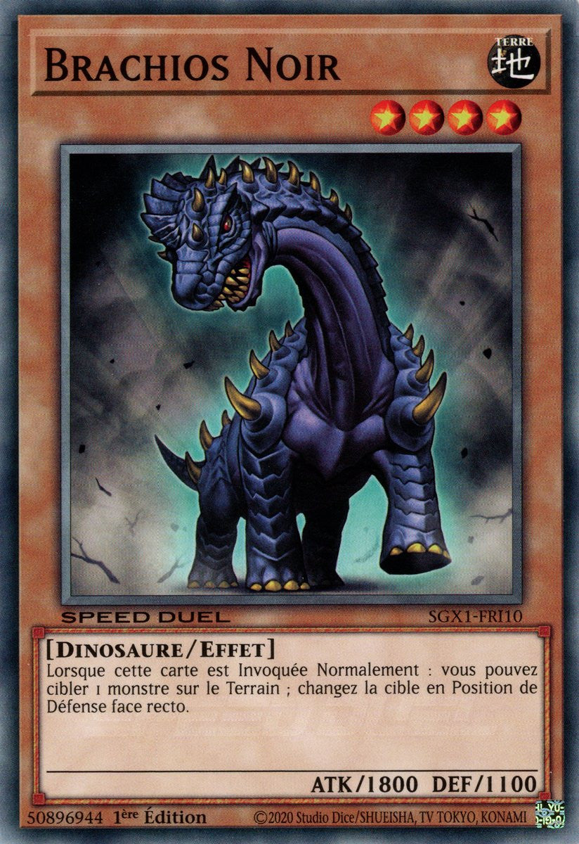 Brachios Noir : SGX1-FRI10 (C)