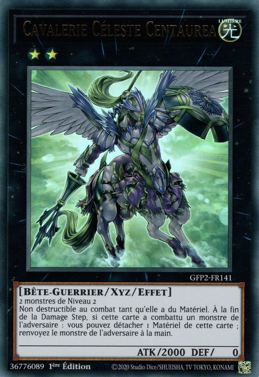 Cavalerie Céleste Centaurea - GFP2-FR141