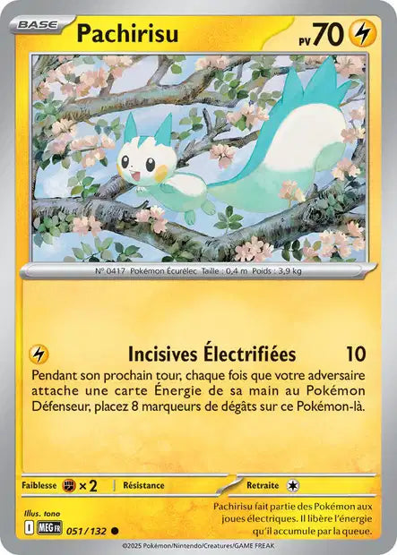 Pachirisu (MEG 051/132) - Méga-Évolutions - Carte Pokémon ME01