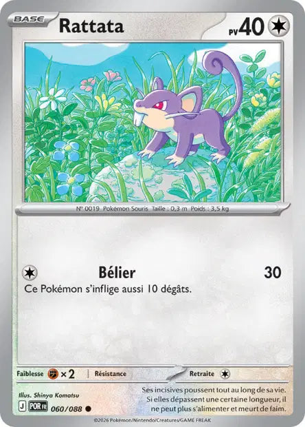 Rattata (POR 060/088) - ME03 Équilibre Parfait - Carte Pokémon