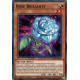 Rose Brillante - POTE-FR021 - Carte Yu-Gi-Oh!